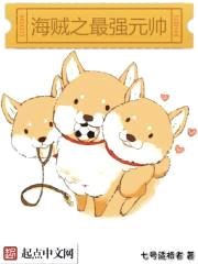 海贼之最强元帅