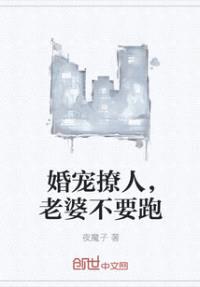 婚宠撩人,老婆不要跑