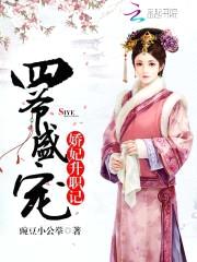 四爷盛宠:娇妃升职记