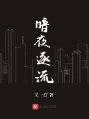 暗夜,逐流