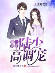 第一蜜婚:陆少高调宠