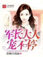老公大人,宠不停!