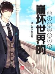 崩坏世界的BigBoss