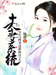 夫妻系统之与四爷过招的日子