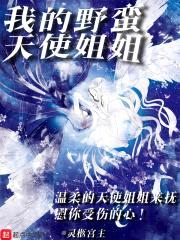我的野蛮天使jiejie