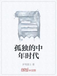 孤独的中年时代