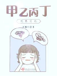 甲乙丙丁观察日记