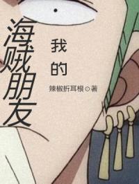我的海贼朋友